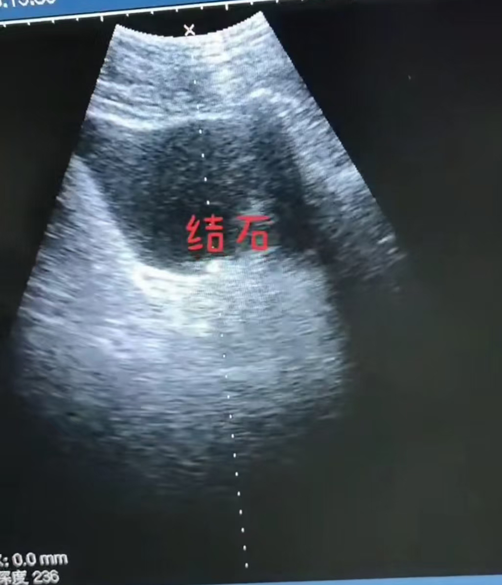 微信图片_20261013100506_46_559.jpg